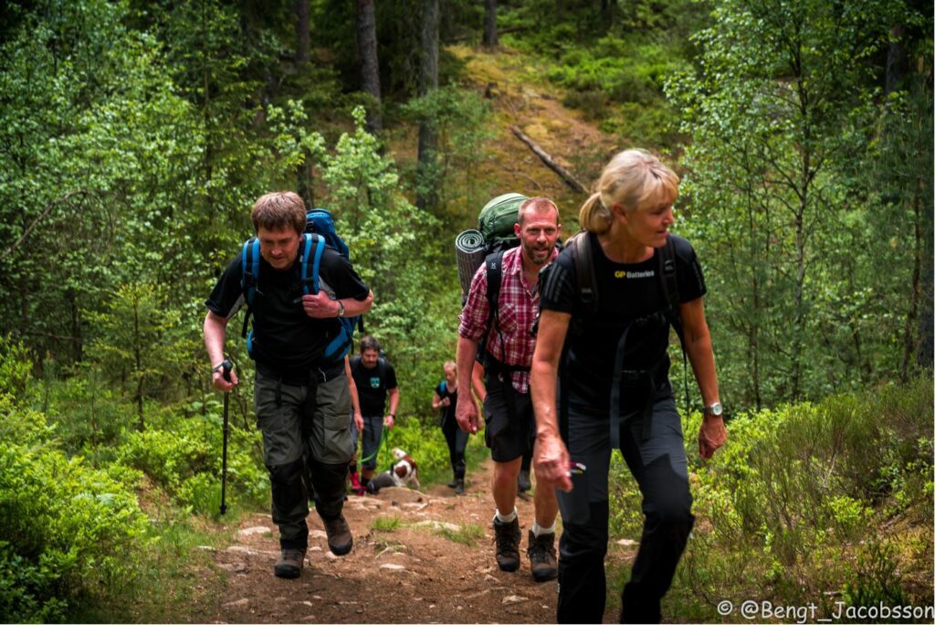 En grupp vandrare går upp för en backe. Det ser varmt ut. Skogen är grön, helt klart på sommaren.