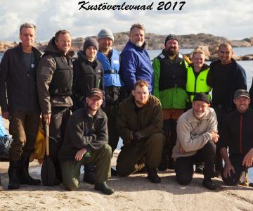 Kustöverlevnad