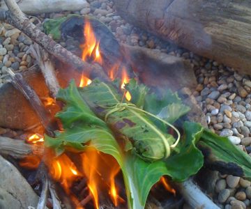 Fish is cooked in fresh leafs over open fire, costal survival